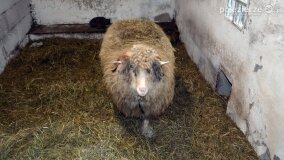 Fundacja Historyczna powitała wiosnę! - zdjęcie 41