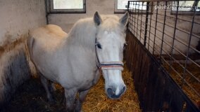 Fundacja Historyczna powitała wiosnę! - zdjęcie 39