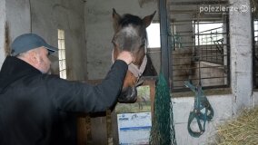 Fundacja Historyczna powitała wiosnę! - zdjęcie 30