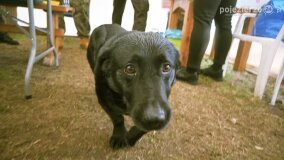 Fundacja Historyczna powitała wiosnę! - zdjęcie 18