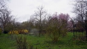 Fundacja Historyczna powitała wiosnę! - zdjęcie 6