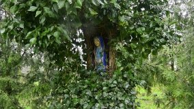 Fundacja Historyczna powitała wiosnę! - zdjęcie 3