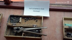 Piknik Rodzinny w Parku w Żydowie! - zdjęcie 70