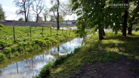 Piknik Rodzinny w Parku w Żydowie! - zdjęcie 30