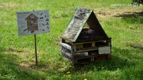 Piknik Rodzinny w Parku w Żydowie! - zdjęcie 16