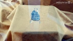 „Historia którą skrywa ziemia”. Gnieźnianie na otwarciu niezwykłego miejsca w Polsce! - zdjęcie 44