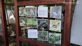 Festiwal Kultury Słowiańskiej i Cysterskiej z niezapomnianym koncertem Stanisława Soyki! - zdjęcie 21