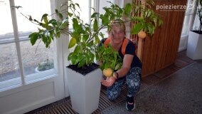 PTTK Wągrowiec zachwycony pałacem w Czerniejewie! - zdjęcie 8