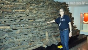 Z Monachium do Gniezna. Nieznane archiwum wojenne trafiło do Karola Soberskiego! - zdjęcie 11