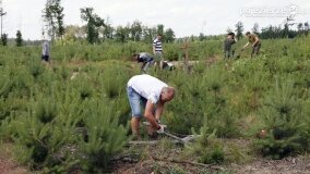 Fundacja Historyczna „Przywracamy Pamięć” postawiła krzyż przy „dołach śmierci”! - zdjęcie 49