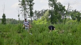 Fundacja Historyczna „Przywracamy Pamięć” postawiła krzyż przy „dołach śmierci”! - zdjęcie 46