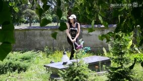 Fundacja Historyczna uporządkowała grobowiec rodziny Saskowskich! - zdjęcie 3