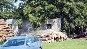 Tajemnica kościelnej krypty, czyli sentymentalna podróż do Gogolina - zdjęcie 69