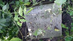 Tajemnica kościelnej krypty, czyli sentymentalna podróż do Gogolina - zdjęcie 14