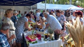 Bogate w atrakcje Dożynki Gminy Mieleszyn! - zdjęcie 83