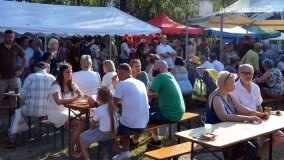 Bogate w atrakcje Dożynki Gminy Mieleszyn! - zdjęcie 82