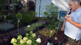 Bogate w atrakcje Dożynki Gminy Mieleszyn! - zdjęcie 76