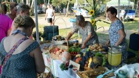 Bogate w atrakcje Dożynki Gminy Mieleszyn! - zdjęcie 71