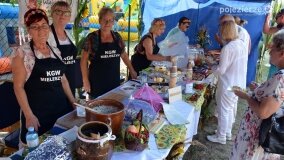 Bogate w atrakcje Dożynki Gminy Mieleszyn! - zdjęcie 66