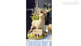 Bogate w atrakcje Dożynki Gminy Mieleszyn! - zdjęcie 25