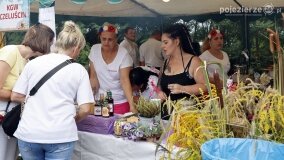 Rolnicy z gminy Czerniejewo podziękowali za tegoroczne plony w Pakszynie - zdjęcie 26