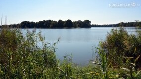 Lokomobila spoczywa na dnie jeziora Kłeckiego... - zdjęcie 7