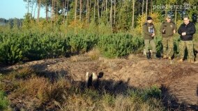 Lasy Nowaszyckie wielkim polem śmierci? - zdjęcie 75