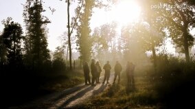 Lasy Nowaszyckie wielkim polem śmierci? - zdjęcie 74