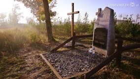 Lasy Nowaszyckie wielkim polem śmierci? - zdjęcie 67