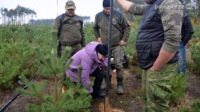 Lasy Nowaszyckie wielkim polem śmierci? - zdjęcie 65