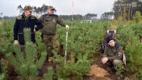 Lasy Nowaszyckie wielkim polem śmierci? - zdjęcie 64