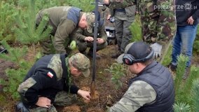 Lasy Nowaszyckie wielkim polem śmierci? - zdjęcie 61