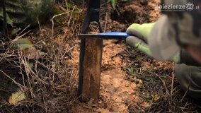 Lasy Nowaszyckie wielkim polem śmierci? - zdjęcie 60