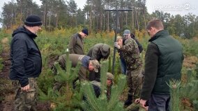 Lasy Nowaszyckie wielkim polem śmierci? - zdjęcie 59