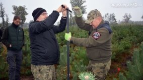 Lasy Nowaszyckie wielkim polem śmierci? - zdjęcie 58