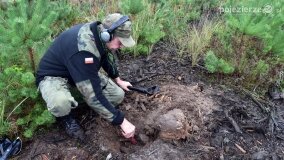 Lasy Nowaszyckie wielkim polem śmierci? - zdjęcie 52