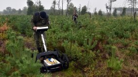 Lasy Nowaszyckie wielkim polem śmierci? - zdjęcie 51