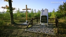 Lasy Nowaszyckie wielkim polem śmierci? - zdjęcie 45