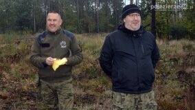 Lasy Nowaszyckie wielkim polem śmierci? - zdjęcie 40