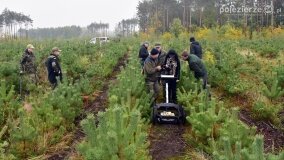 Lasy Nowaszyckie wielkim polem śmierci? - zdjęcie 36