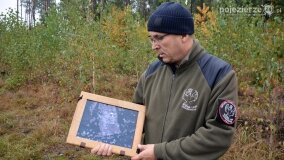 Lasy Nowaszyckie wielkim polem śmierci? - zdjęcie 34