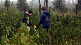 Lasy Nowaszyckie wielkim polem śmierci? - zdjęcie 32