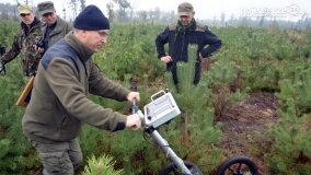 Lasy Nowaszyckie wielkim polem śmierci? - zdjęcie 31