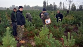 Lasy Nowaszyckie wielkim polem śmierci? - zdjęcie 30