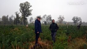 Lasy Nowaszyckie wielkim polem śmierci? - zdjęcie 29