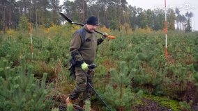 Lasy Nowaszyckie wielkim polem śmierci? - zdjęcie 26