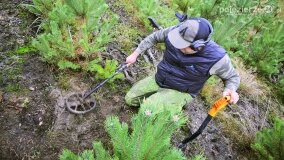Lasy Nowaszyckie wielkim polem śmierci? - zdjęcie 22