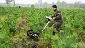 Lasy Nowaszyckie wielkim polem śmierci? - zdjęcie 21