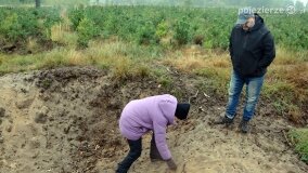 Lasy Nowaszyckie wielkim polem śmierci? - zdjęcie 18