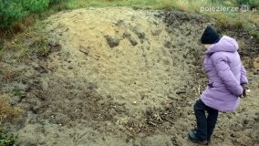 Lasy Nowaszyckie wielkim polem śmierci? - zdjęcie 17